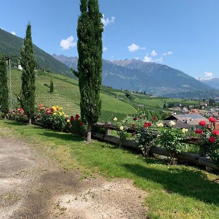 Weingut Bachguetl Apartment Cermes Exterior foto