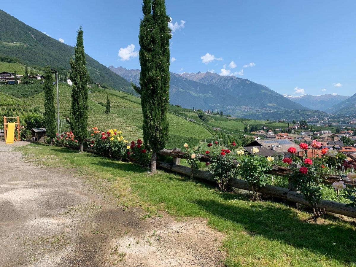Weingut Bachguetl Apartment Cermes Exterior foto