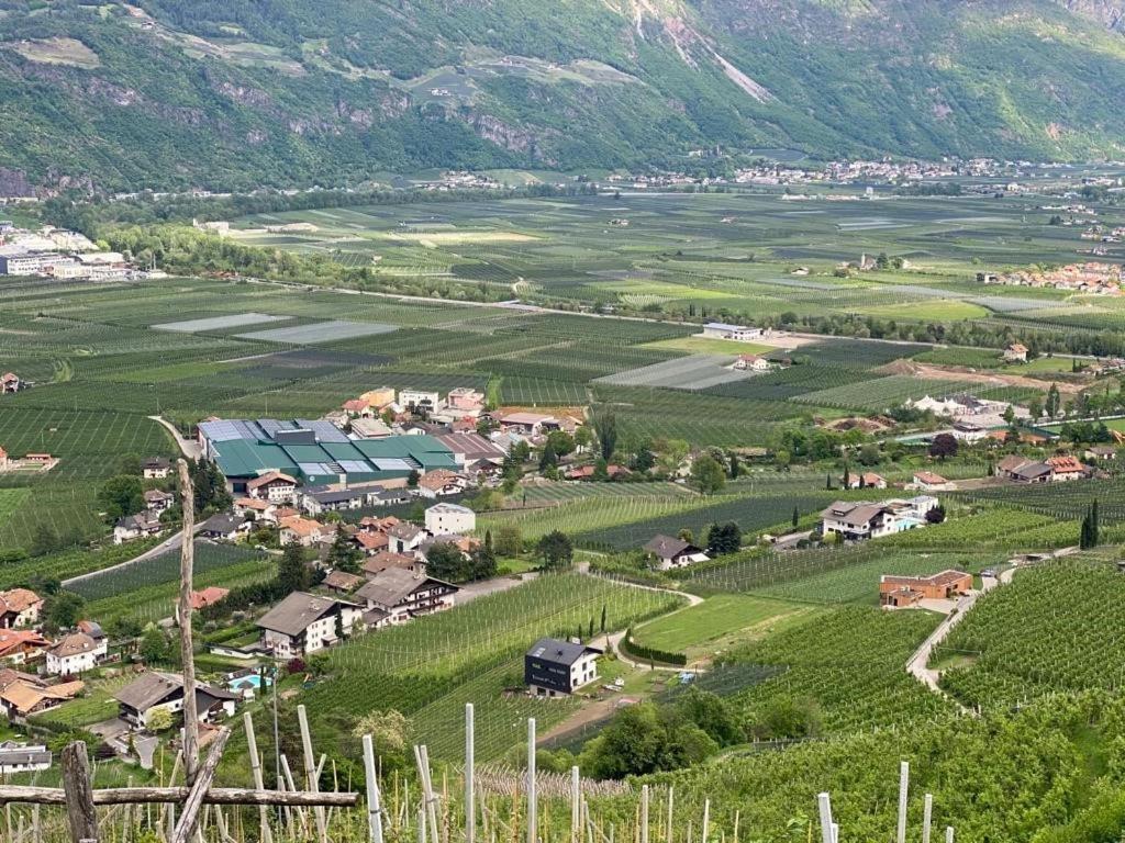 Weingut Bachguetl Apartment Cermes Exterior foto